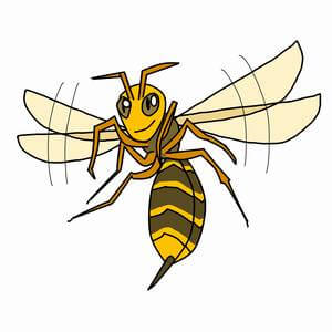 スズメバチの針を抜く方法 必要な道具や構造と毒性 応急手当の仕方