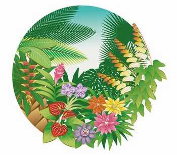 オンシジウムの花言葉の意味や誕生花はいつ どんなときに贈るの 井戸端会議