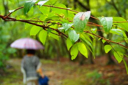 降水量2mm ミリメートル とはどのくらいの雨 予想される被害の目安と対策 井戸端会議 降水量2mm ミリメートル とはどのくらいの雨 予想される被害の目安と対策 井戸端会議