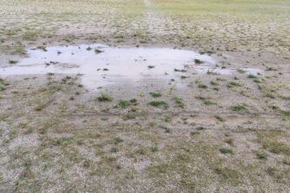 降水量2mm ミリメートル とはどのくらいの雨 予想される被害の目安と対策 井戸端会議 降水量2mm ミリメートル とはどのくらいの雨 予想される被害の目安と対策 井戸端会議