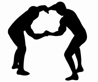 オランウータンの握力はどのくらい 他の動物や人間と比べてどっちが強い 井戸端会議